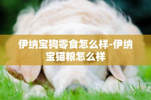 伊納寶狗零食怎么樣-伊納寶貓糧怎么樣