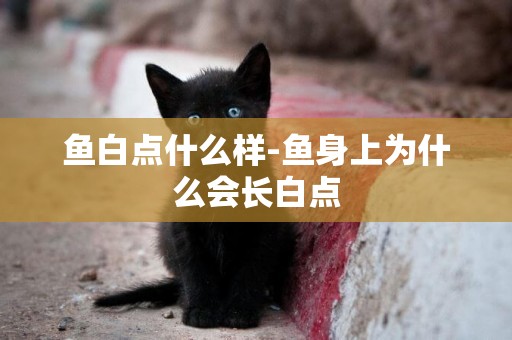 魚白點什么樣-魚身上為什么會長白點
