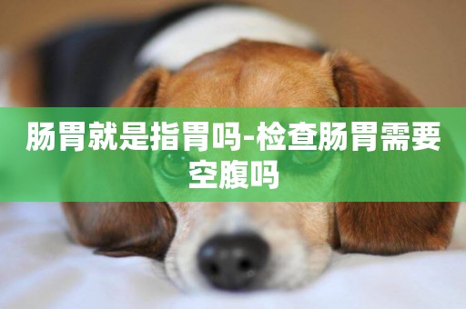 腸胃就是指胃嗎-檢查腸胃需要空腹嗎