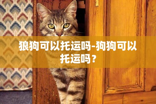 狼狗可以托運嗎-狗狗可以托運嗎？