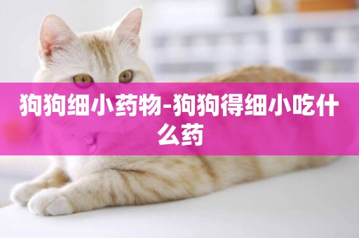 狗狗細小藥物-狗狗得細小吃什么藥