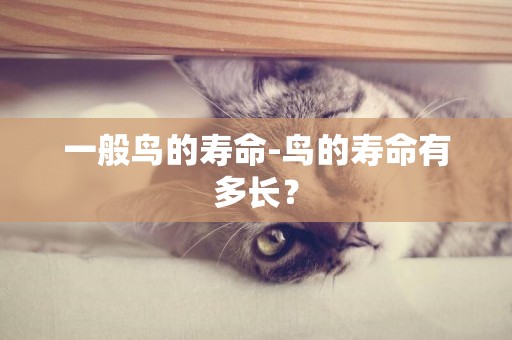 一般鳥的壽命-鳥的壽命有多長？