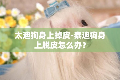 太迪狗身上掉皮-泰迪狗身上脫皮怎么辦？
