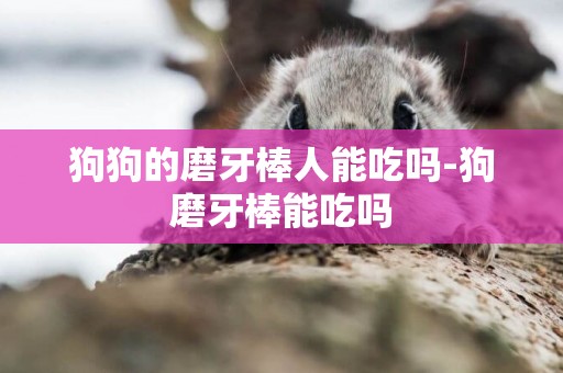 狗狗的磨牙棒人能吃嗎-狗磨牙棒能吃嗎