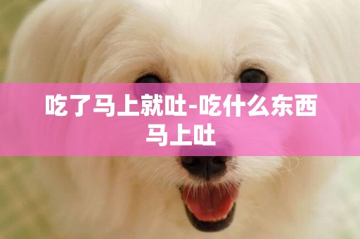吃了馬上就吐-吃什么東西馬上吐