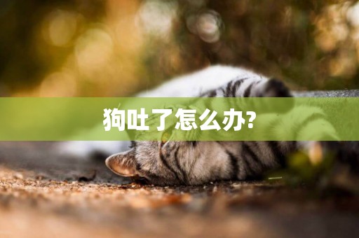 狗吐了怎么辦?