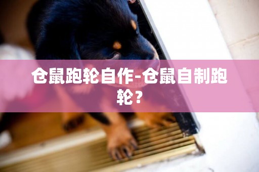 倉鼠跑輪自作-倉鼠自制跑輪？