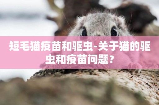短毛貓疫苗和驅蟲-關于貓的驅蟲和疫苗問題？