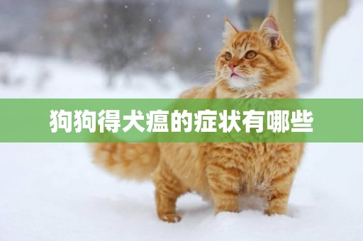 狗狗得犬瘟的癥狀有哪些