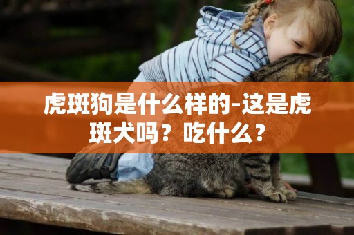 虎斑狗是什么樣的-這是虎斑犬嗎？吃什么？