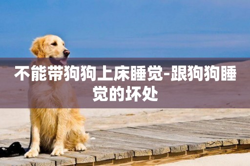 不能帶狗狗上床睡覺-跟狗狗睡覺的壞處