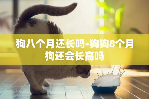狗八個月還長嗎-狗狗8個月狗還會長高嗎