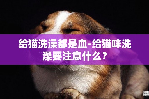 給貓洗澡都是血-給貓咪洗澡要注意什么？