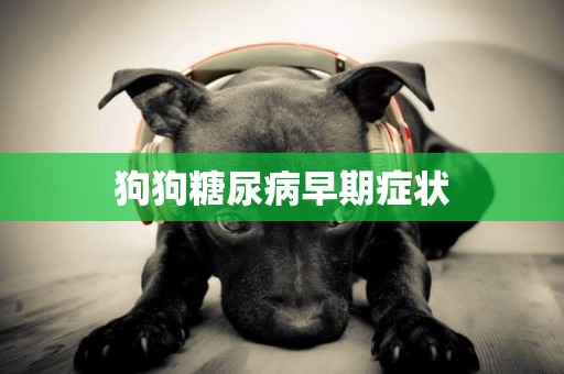 狗狗糖尿病早期癥狀