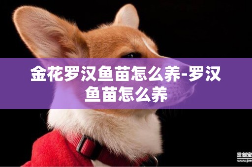 金花羅漢魚苗怎么養-羅漢魚苗怎么養