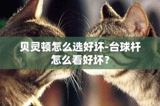 貝靈頓怎么選好壞-臺球桿怎么看好壞？