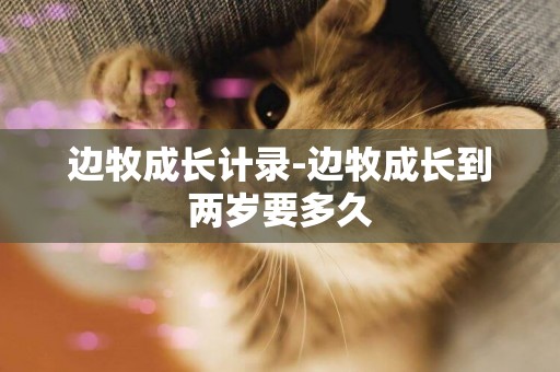 邊牧成長計錄-邊牧成長到兩歲要多久