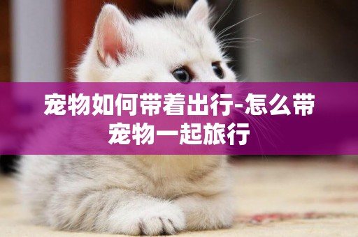 寵物如何帶著出行-怎么帶寵物一起旅行