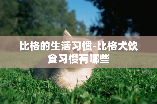 比格的生活習慣-比格犬飲食習慣有哪些