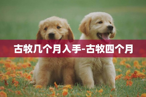 古牧幾個月入手-古牧四個月