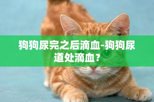狗狗尿完之后滴血-狗狗尿道處滴血？