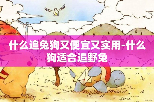 什么追兔狗又便宜又實用-什么狗適合追野兔