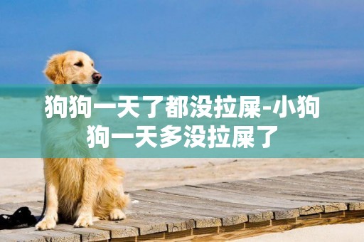 狗狗一天了都沒拉屎-小狗狗一天多沒拉屎了