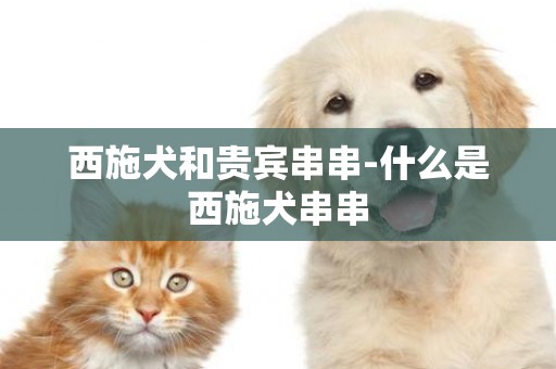 西施犬和貴賓串串-什么是西施犬串串