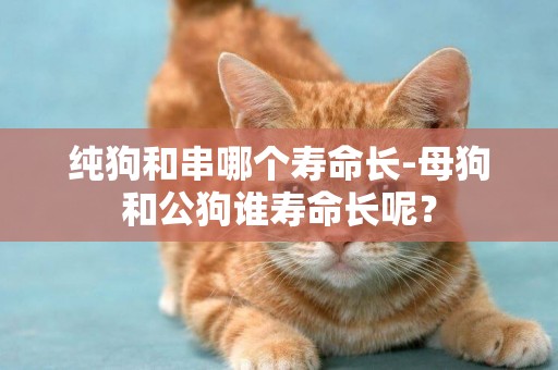 純狗和串哪個壽命長-母狗和公狗誰壽命長呢？
