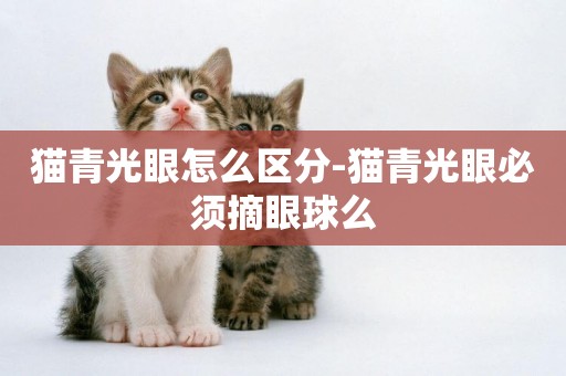 貓青光眼怎么區分-貓青光眼必須摘眼球么