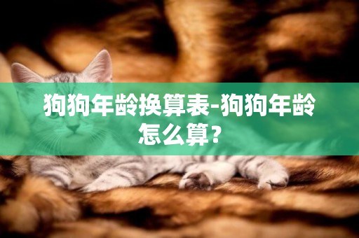 狗狗年齡換算表-狗狗年齡怎么算？