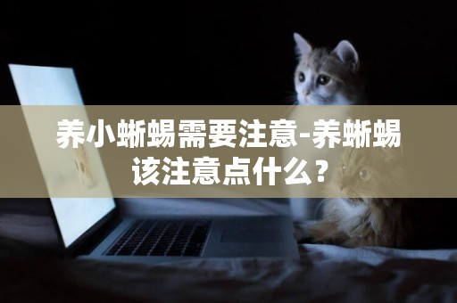 養小蜥蜴需要注意-養蜥蜴該注意點什么？