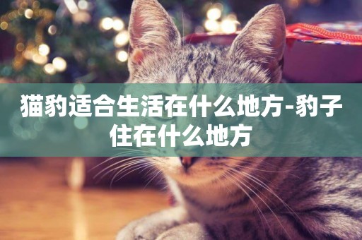 貓豹適合生活在什么地方-豹子住在什么地方
