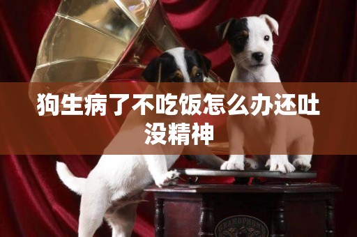 狗生病了不吃飯怎么辦還吐沒精神