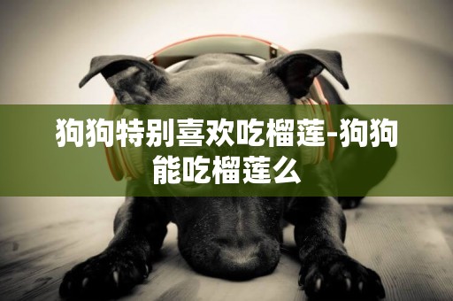狗狗特別喜歡吃榴蓮-狗狗能吃榴蓮么