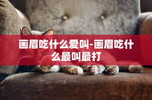 畫眉吃什么愛叫-畫眉吃什么最叫最打