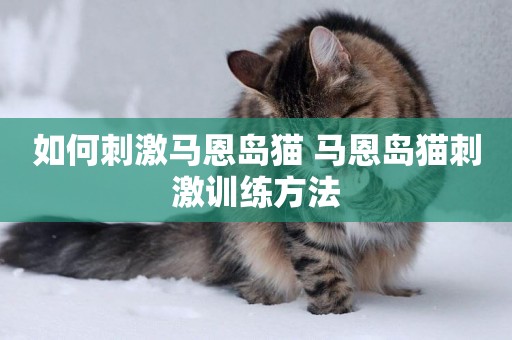 如何刺激馬恩島貓 馬恩島貓刺激訓練方法