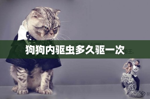 狗狗內驅蟲多久驅一次