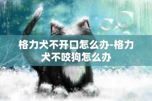 格力犬不開口怎么辦-格力犬不咬狗怎么辦