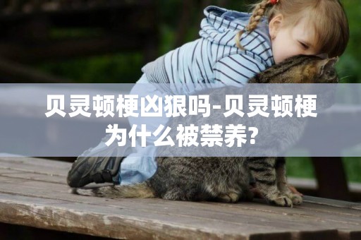 貝靈頓梗兇狠嗎-貝靈頓梗為什么被禁養?