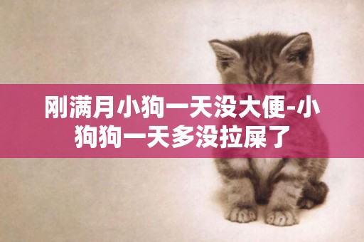 剛滿月小狗一天沒大便-小狗狗一天多沒拉屎了