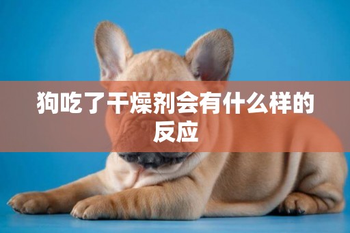 狗吃了干燥劑會有什么樣的反應