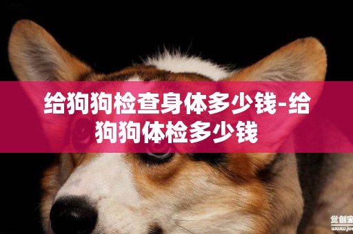 給狗狗檢查身體多少錢-給狗狗體檢多少錢