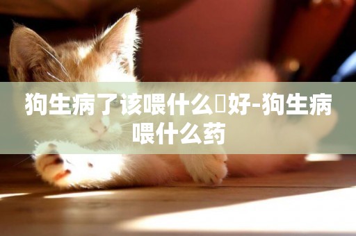 狗生病了該喂什么葯好-狗生病喂什么藥