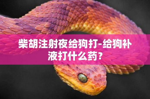 柴胡注射夜給狗打-給狗補液打什么藥？