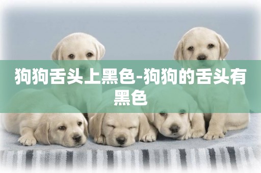 狗狗舌頭上黑色-狗狗的舌頭有黑色