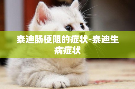 泰迪腸梗阻的癥狀-泰迪生病癥狀