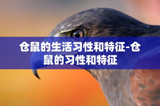 倉鼠的生活習性和特征-倉鼠的習性和特征