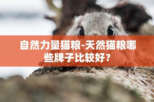 自然力量貓糧-天然貓糧哪些牌子比較好？