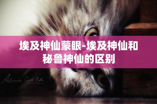 埃及神仙蒙眼-埃及神仙和秘魯神仙的區別